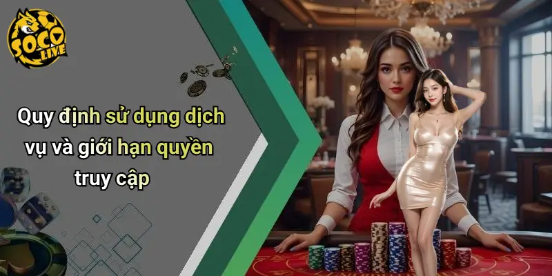 Quy định sử dụng dịch vụ và giới hạn quyền truy cập