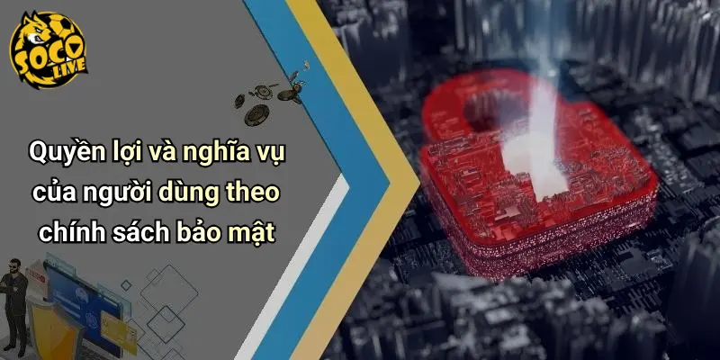 Quyền lợi và nghĩa vụ của người dùng theo chính sách bảo mật