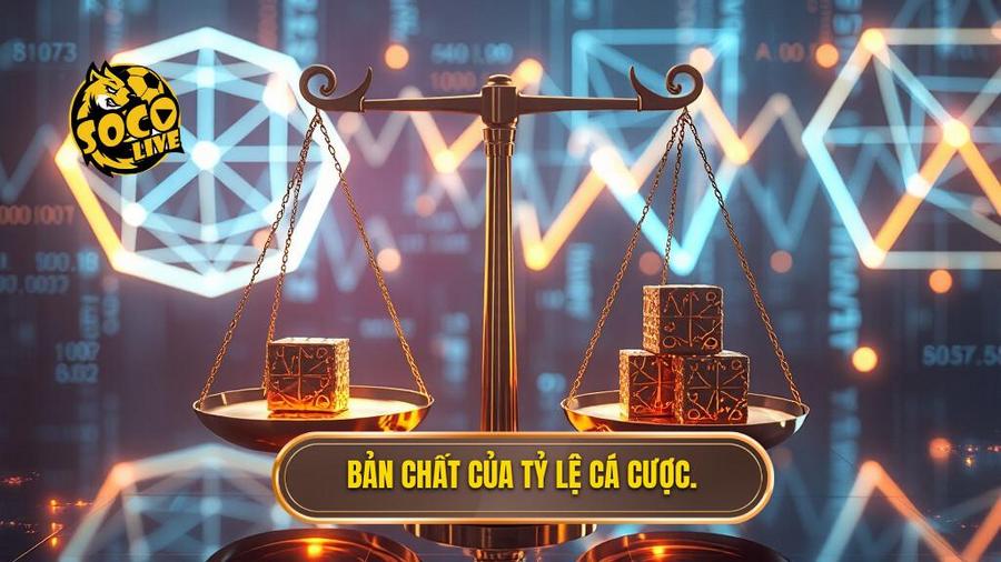 Hiểu đúng về bản chất của tỷ lệ cá cược