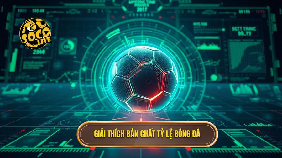 Hiểu đúng về bản chất của tỷ lệ bóng đá