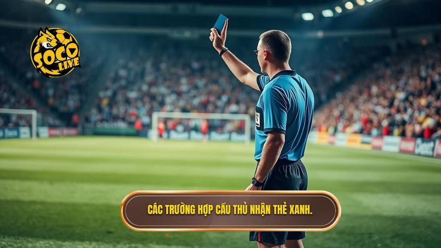 2. Các trường hợp cầu thủ nhận thẻ xanh.