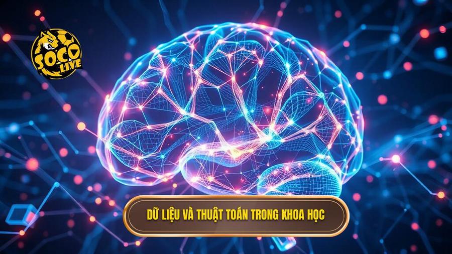 Yếu tố khoa học: Sức mạnh của dữ liệu và thuật toán