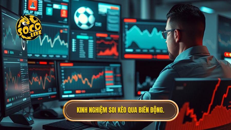 Kinh nghiệm đọc tỷ lệ bóng đá bất bại qua biến động kèo