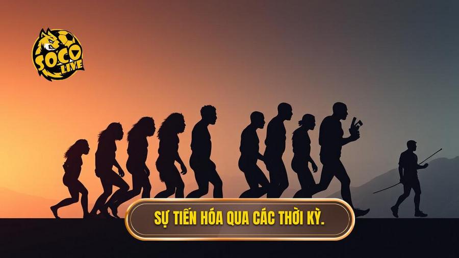 2. Sự tiến hóa qua các thời kỳ.