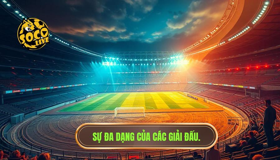 Sự đa dạng của các giải đấu: Từ ao làng đến đấu trường quốc tế