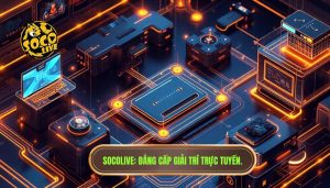 socolive hoạt động như thế nào?