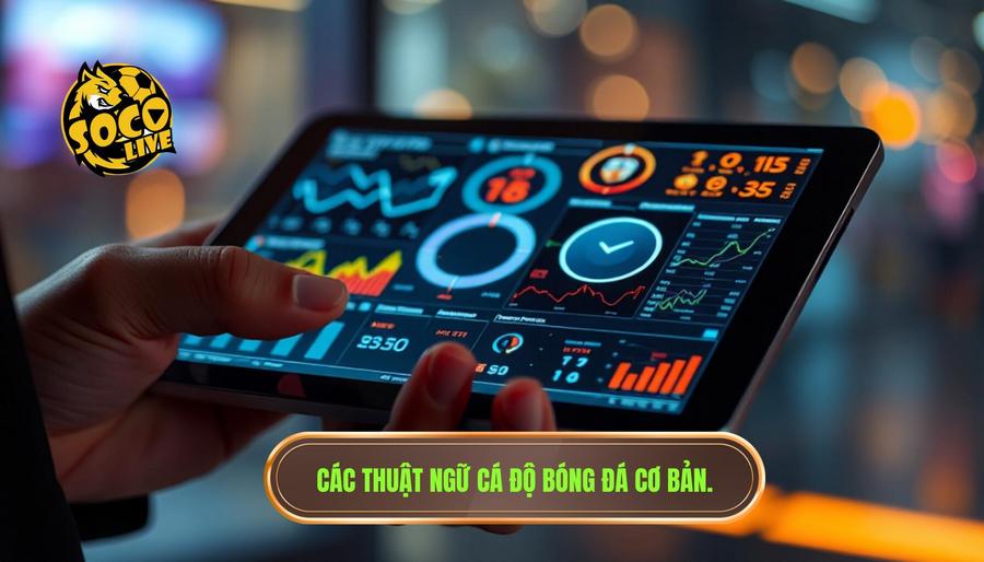 Những thuật ngữ cá độ cần biết: Cẩm nang toàn tập cho người mới tại SOCOLIVE 1 1. Các thuật ngữ cá độ bóng đá cơ bản.