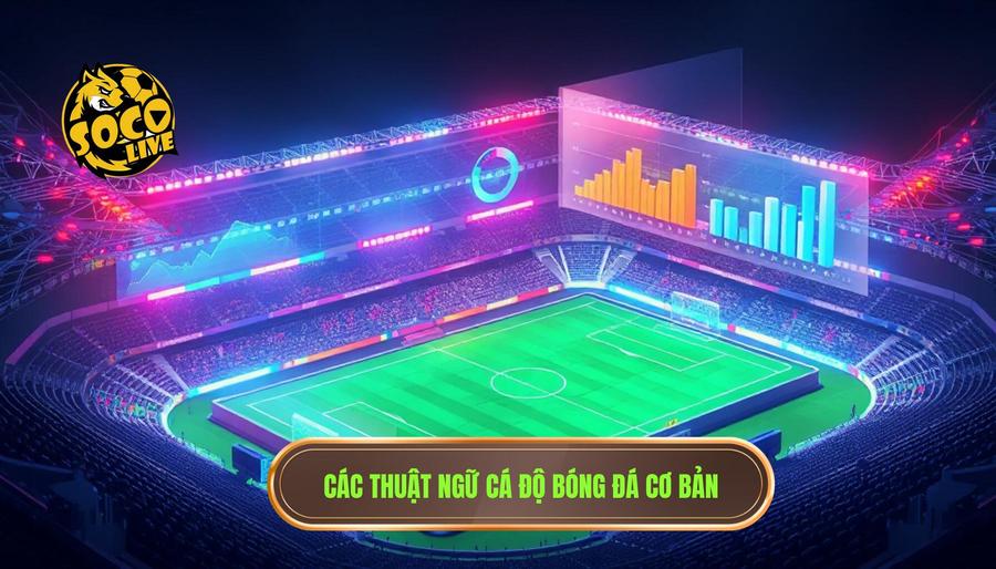 Những thuật ngữ cá độ cần biết: Cẩm nang toàn tập cho người mới tại SOCOLIVE 2 2. Các thuật ngữ cá độ bóng đá cơ bản