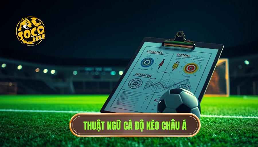 Những thuật ngữ cá độ cần biết: Cẩm nang toàn tập cho người mới tại SOCOLIVE 3 3. Thuật ngữ cá độ kèo Châu Á
